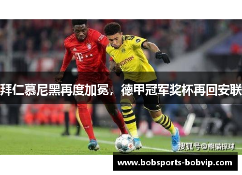 拜仁慕尼黑再度加冕，德甲冠军奖杯再回安联