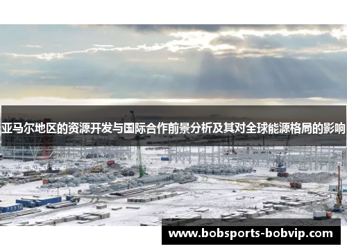 亚马尔地区的资源开发与国际合作前景分析及其对全球能源格局的影响